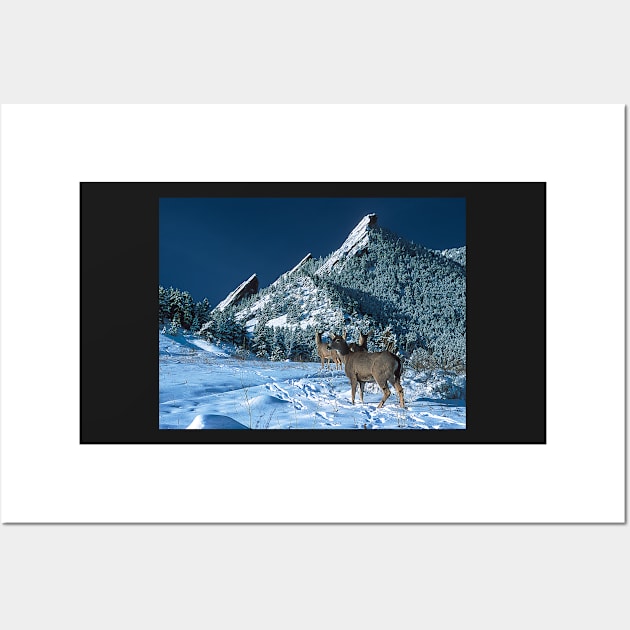 The Flatirons And Deer Wall Art by nikongreg